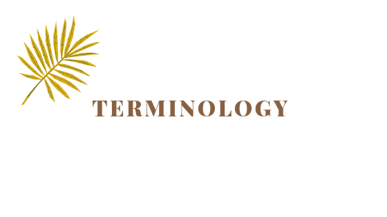 Terminology